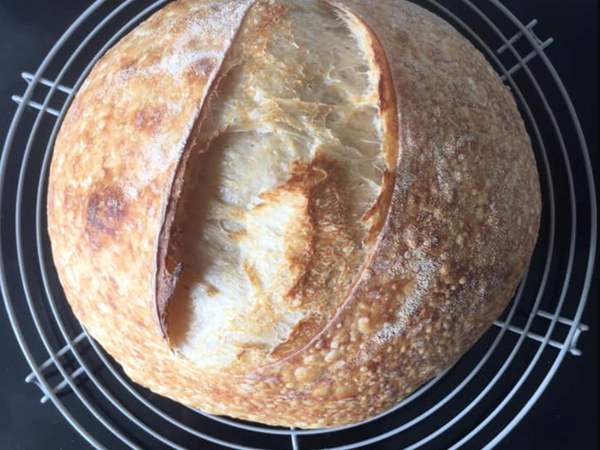 tomatis autizam sourdough zdravlje kruh Vida Demarin