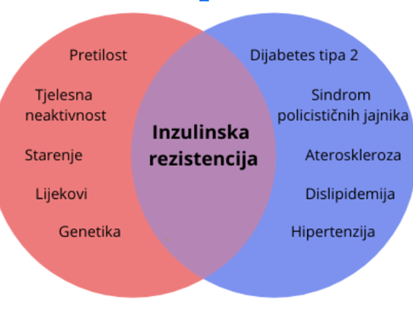 Inzulinska rezistencija, trudnoća, pretilost, policistični jajnici plodnost