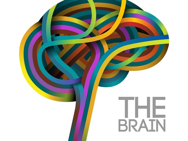 Arts, Brain and Cognition, Sensa.hr, živim.hr, Naturala.hr, Tomatis, homeopatija